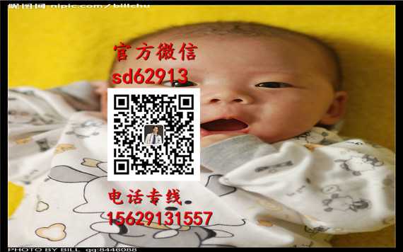 杭州代孕中心哪间权威：怀孕可以喝菊花茶吗