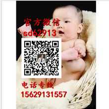 杭州正规代孕费用：代孕成都联系方式_代孕包成功生男孩多少钱