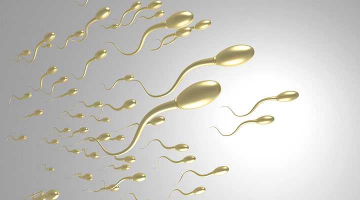 精子分离术的危害是什么?