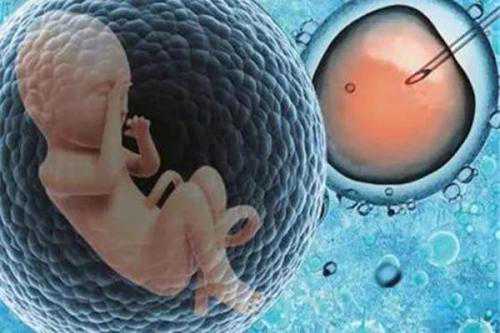 重庆助孕试管婴儿冷冻胚胎是怎么回事？